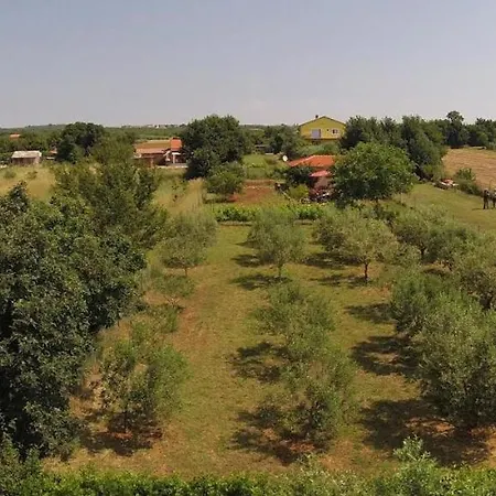 Tatil Evi Marko 2 *